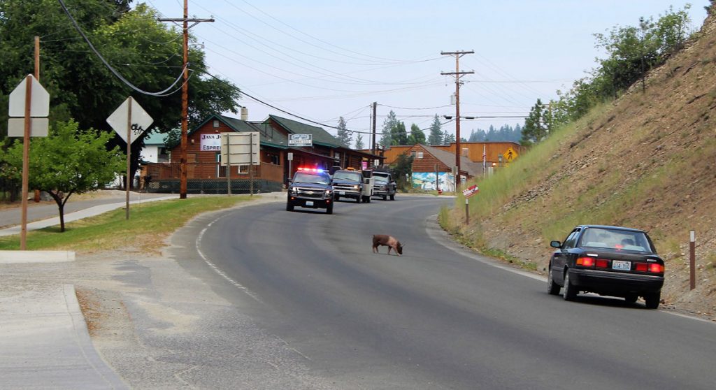 Republic of What? Republic, Washington