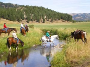 KDK Horseback riding