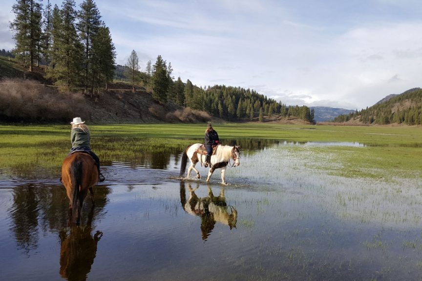 K Diamond K Guest Ranch features horseback riding